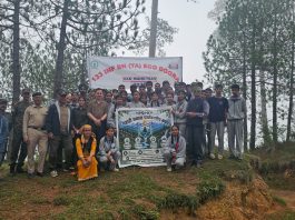 चायल के वनों में हरियाली बढ़ाने की पहल